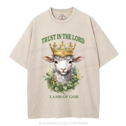 Lamb Of God Christian Washed T-Shirt