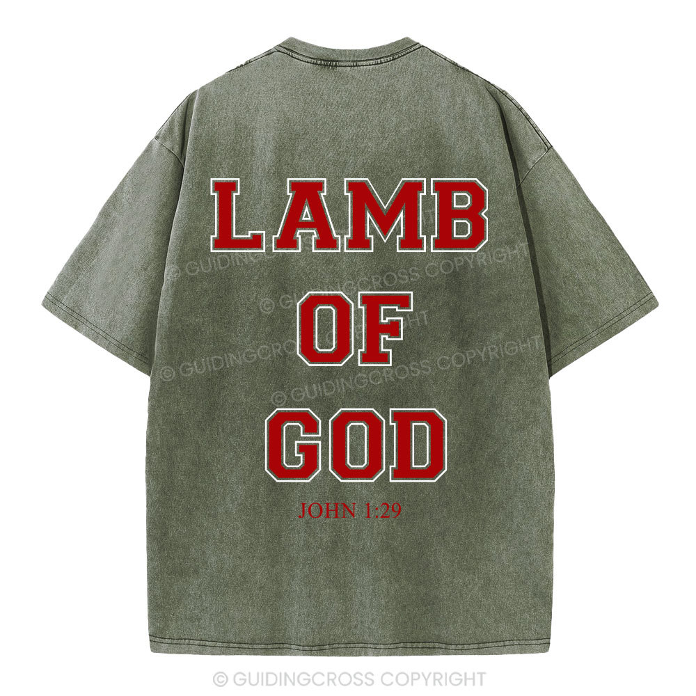 Lamb Of God Christian Washed T-Shirt