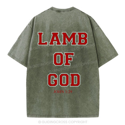 Lamb Of God Christian Washed T-Shirt