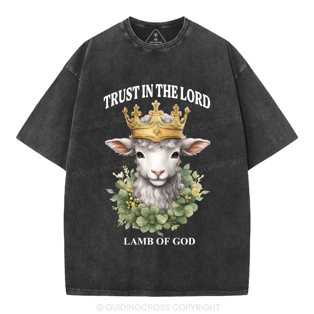 Lamb Of God Christian Washed T-Shirt