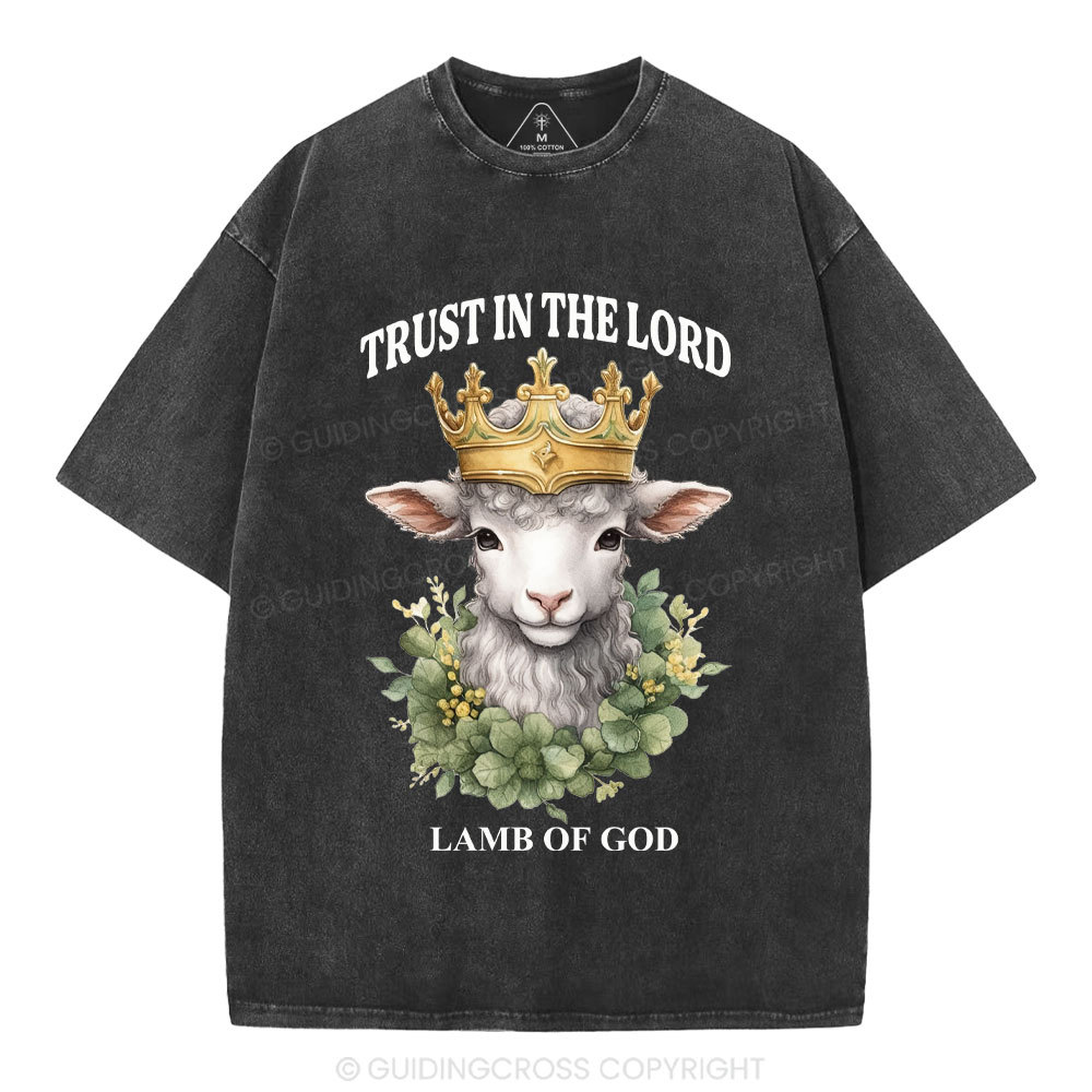 Lamb Of God Christian Washed T-Shirt