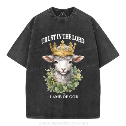 Lamb Of God Christian Washed T-Shirt