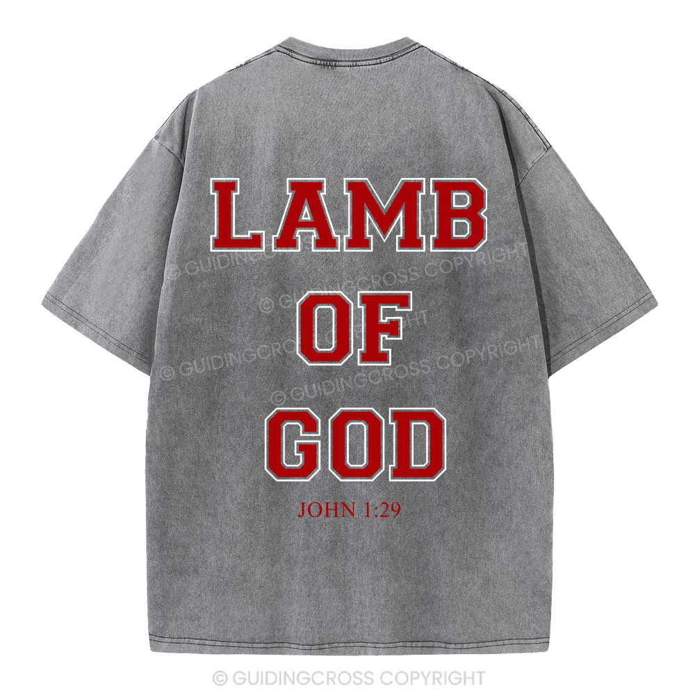 Lamb Of God Christian Washed T-Shirt