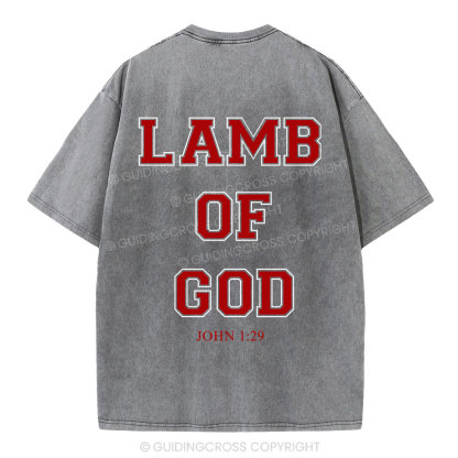 Lamb Of God Christian Washed T-Shirt