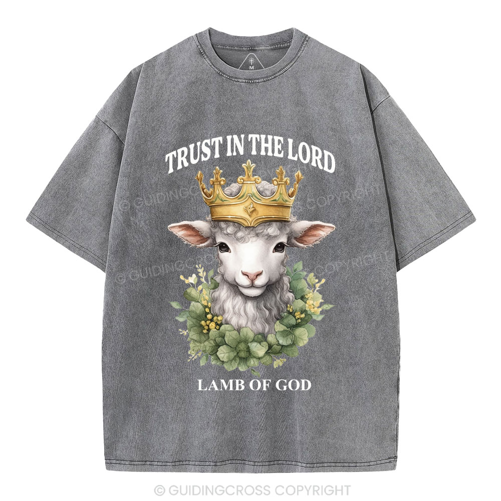 Lamb Of God Christian Washed T-Shirt