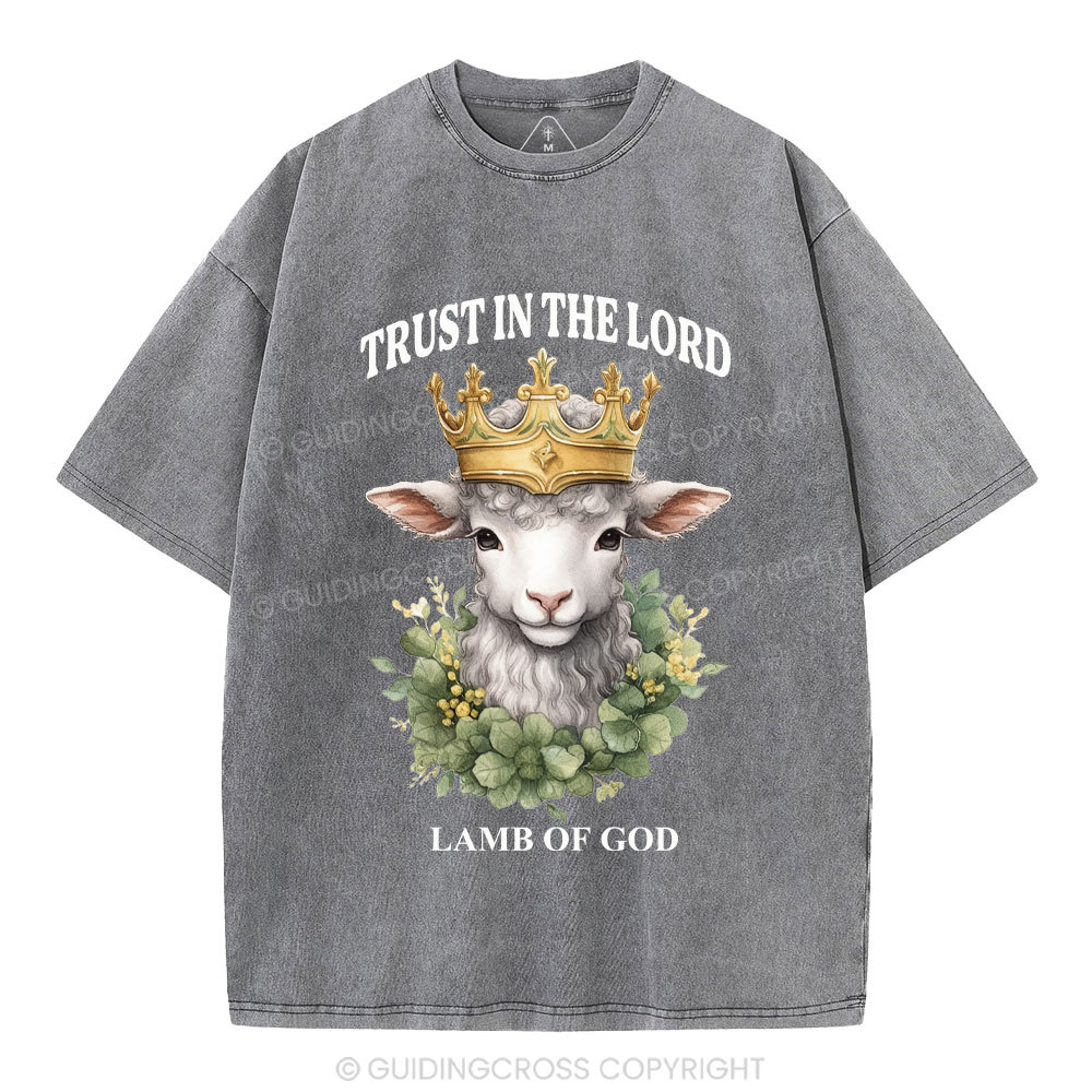 Lamb Of God Christian Washed T-Shirt
