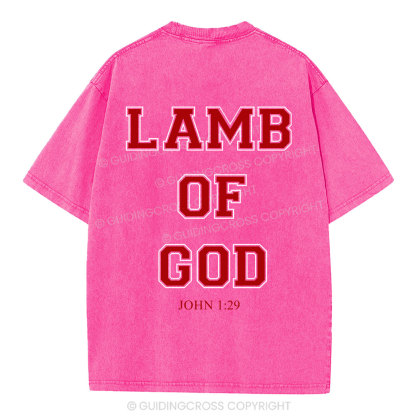 Lamb Of God Christian Washed T-Shirt