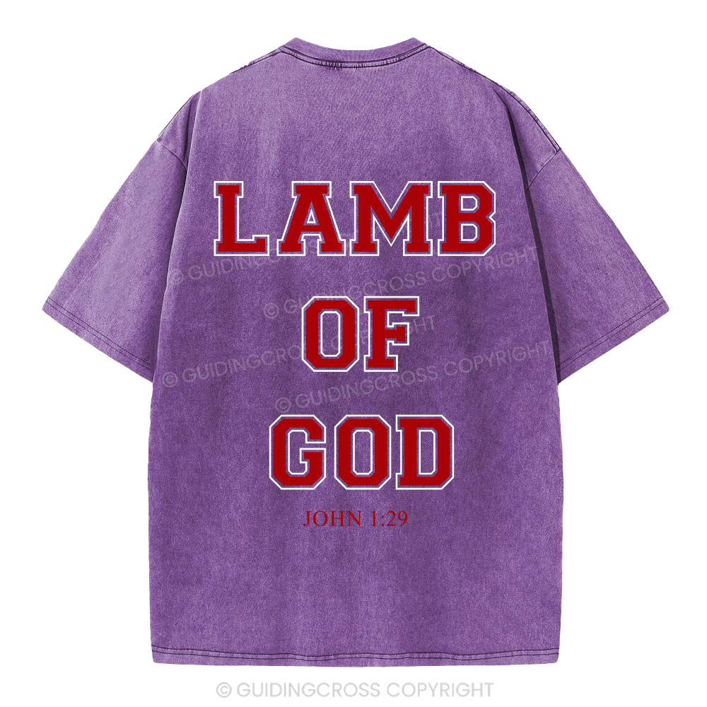 Lamb Of God Christian Washed T-Shirt