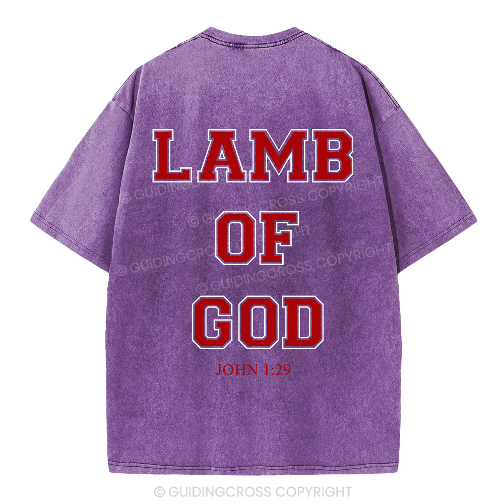 Lamb Of God Christian Washed T-Shirt