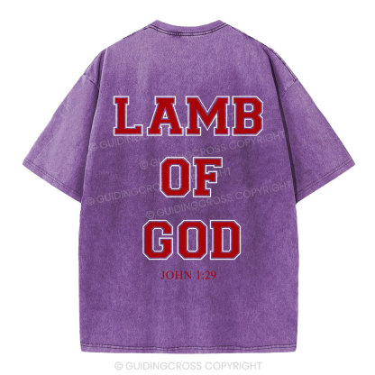 Lamb Of God Christian Washed T-Shirt