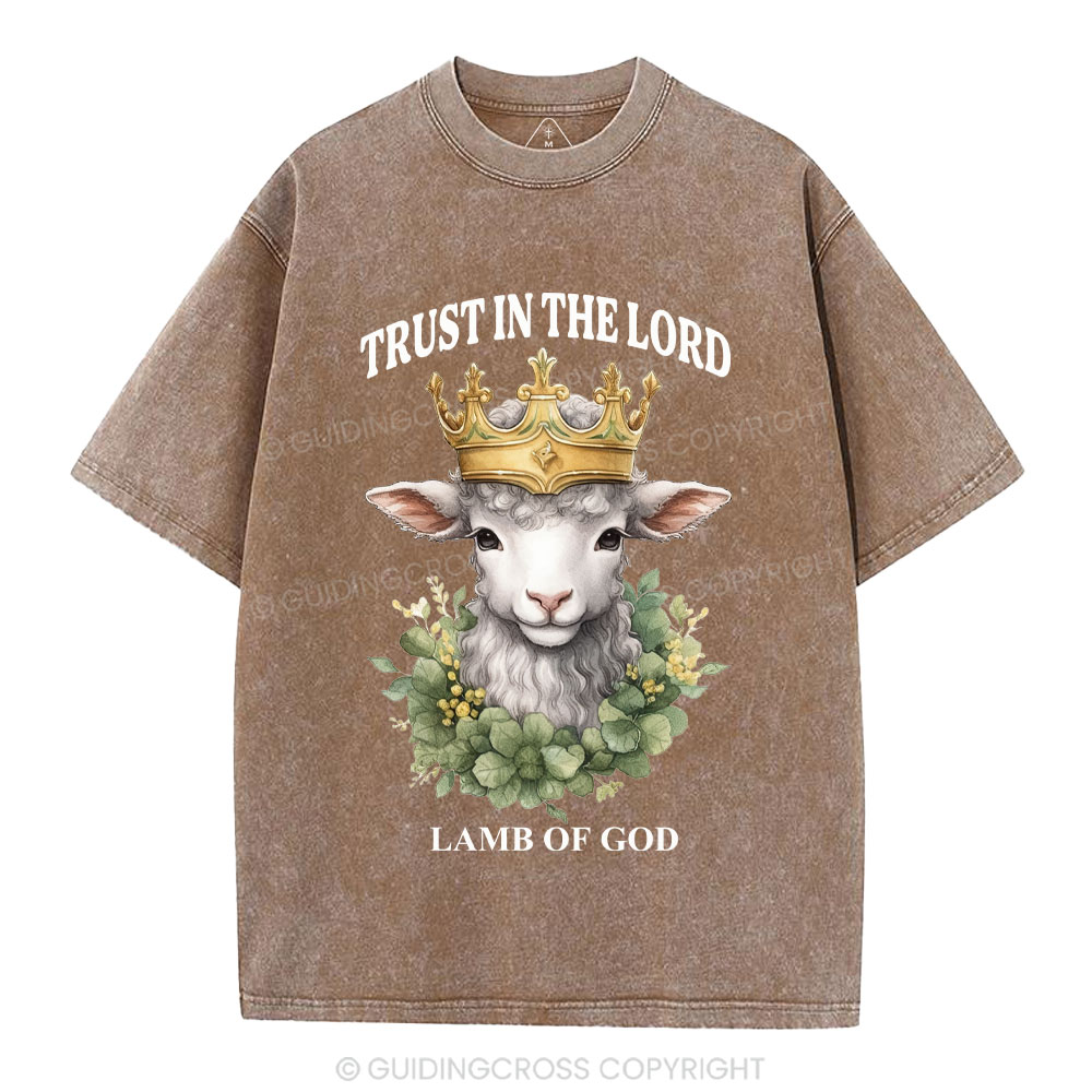 Lamb Of God Christian Washed T-Shirt