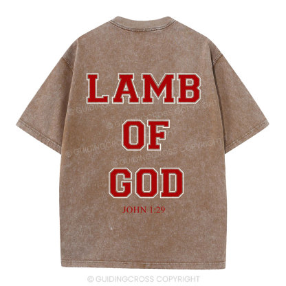 Lamb Of God Christian Washed T-Shirt