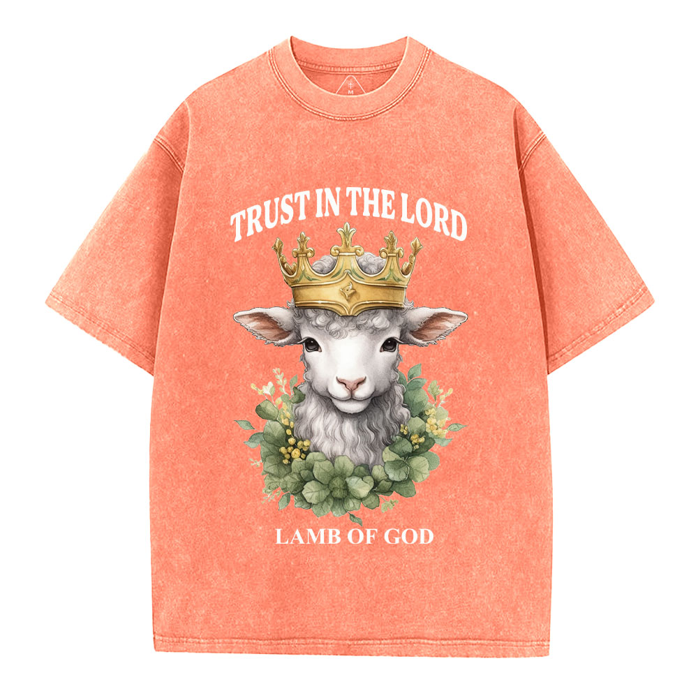Lamb Of God Christian Washed T-Shirt