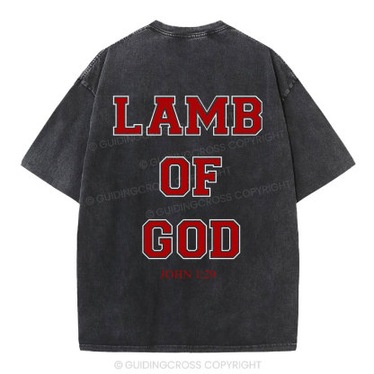 Lamb Of God Christian Washed T-Shirt