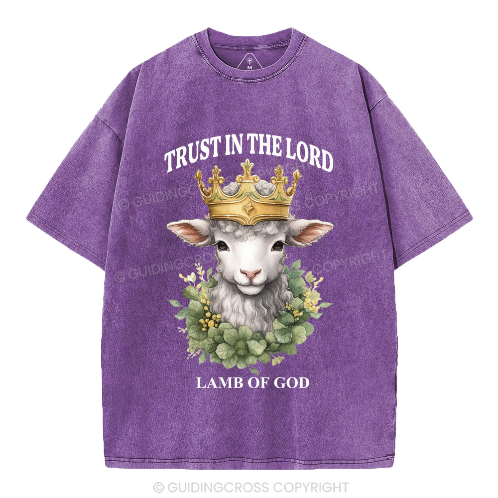 Lamb Of God Christian Washed T-Shirt