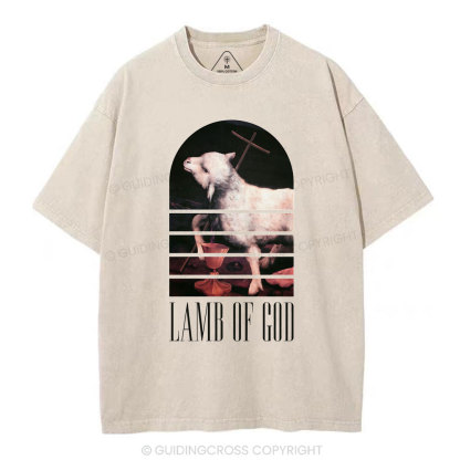 Lamb Of God Christian Washed T-Shirt
