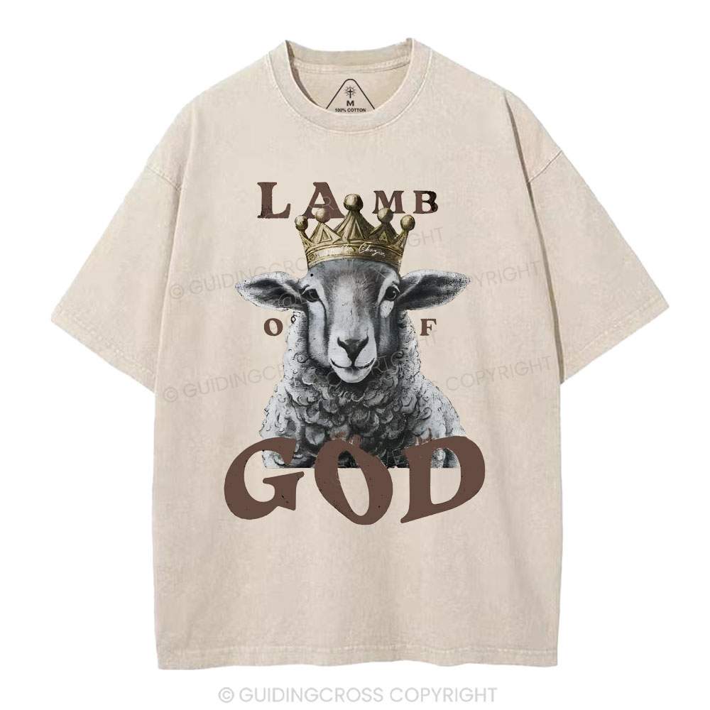 Lamb Of God Christian Washed T-Shirt