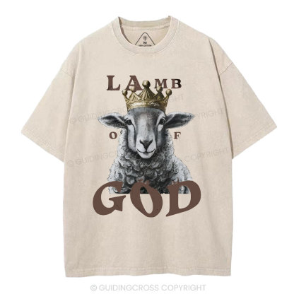Lamb Of God Christian Washed T-Shirt