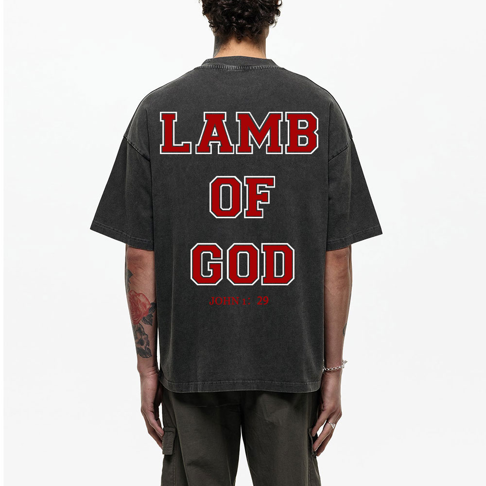Lamb Of God Christian Washed T-Shirt