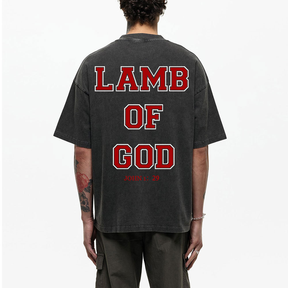 Lamb Of God Christian Washed T-Shirt