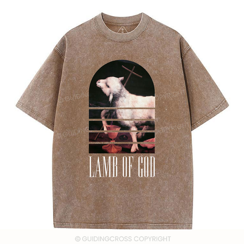 Lamb Of God Christian Washed T-Shirt