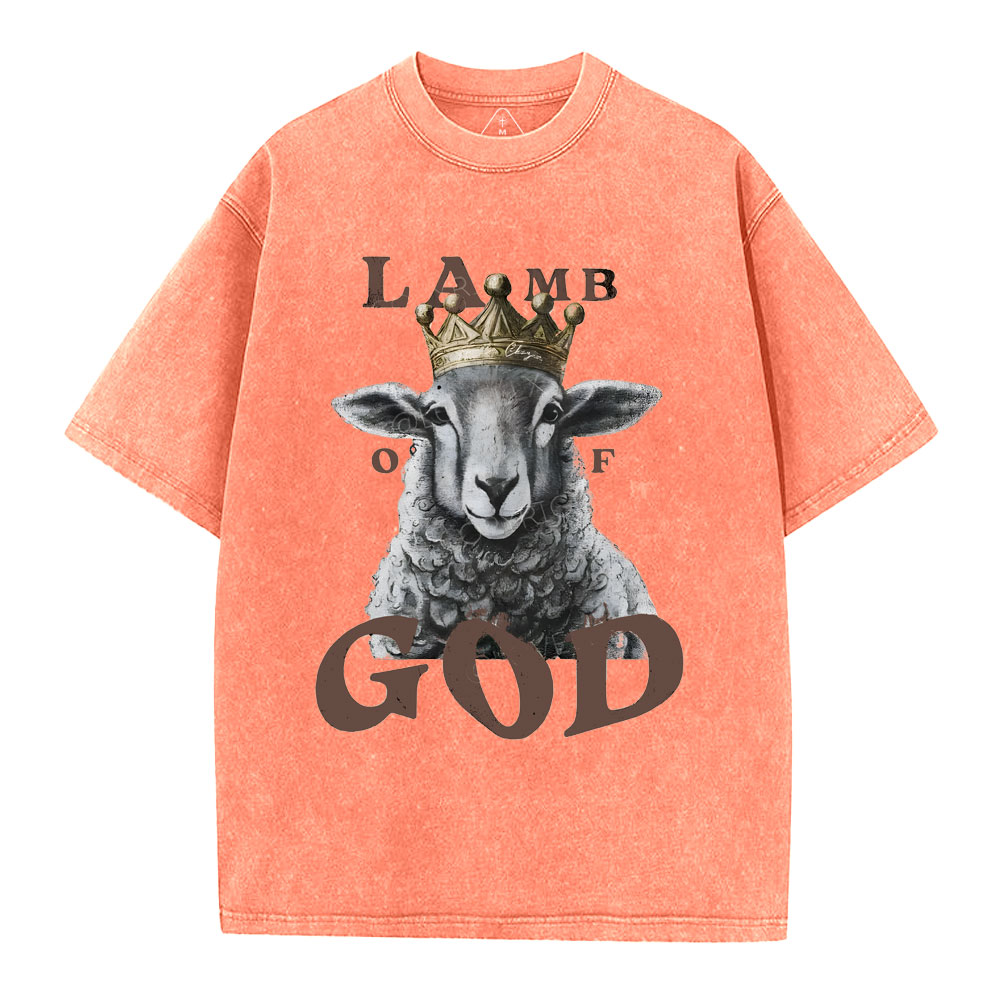 Lamb Of God Christian Washed T-Shirt