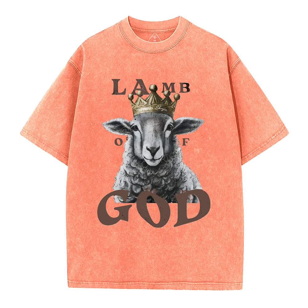 Lamb Of God Christian Washed T-Shirt
