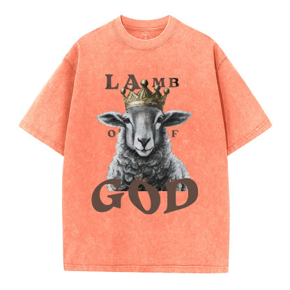 Lamb Of God Christian Washed T-Shirt
