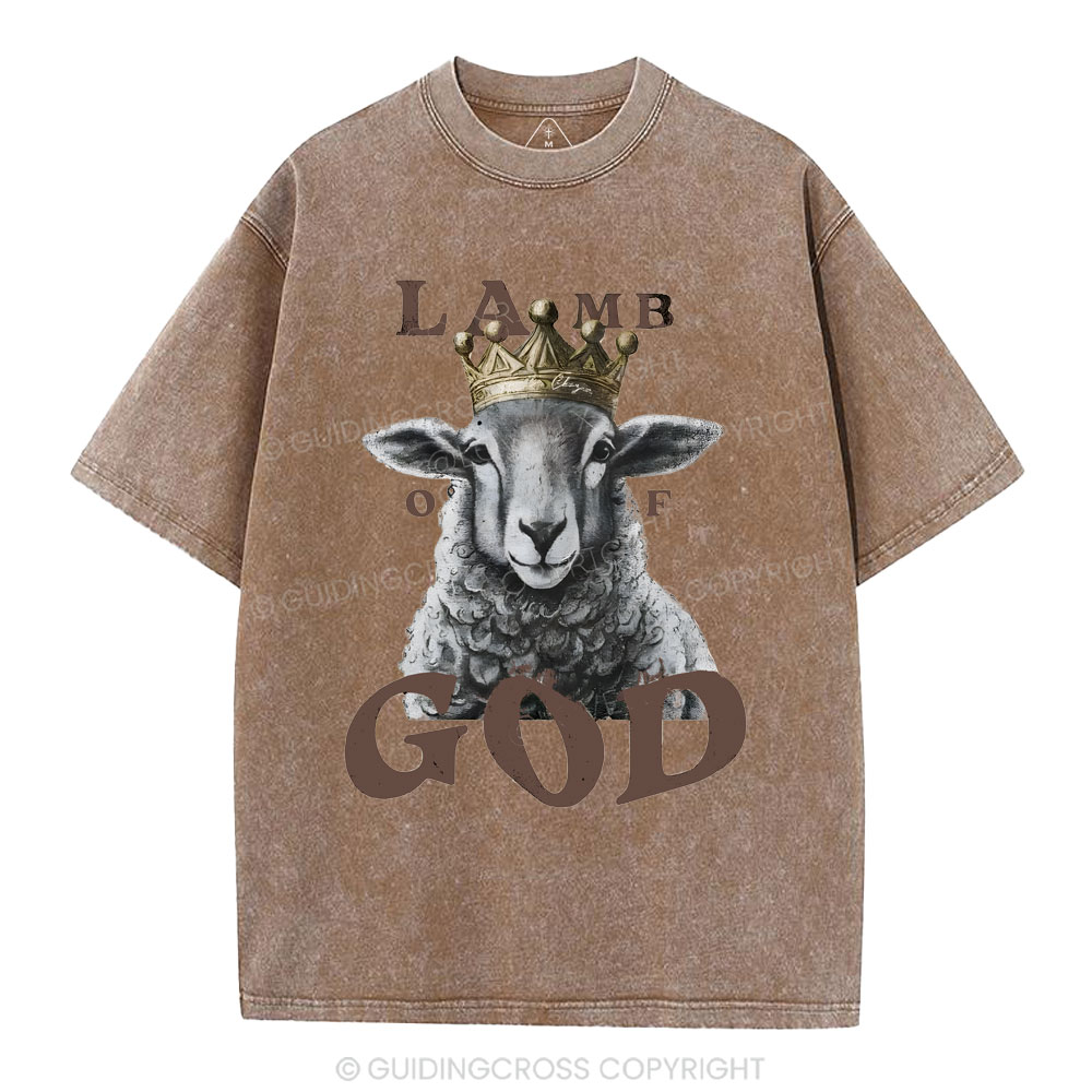 Lamb Of God Christian Washed T-Shirt