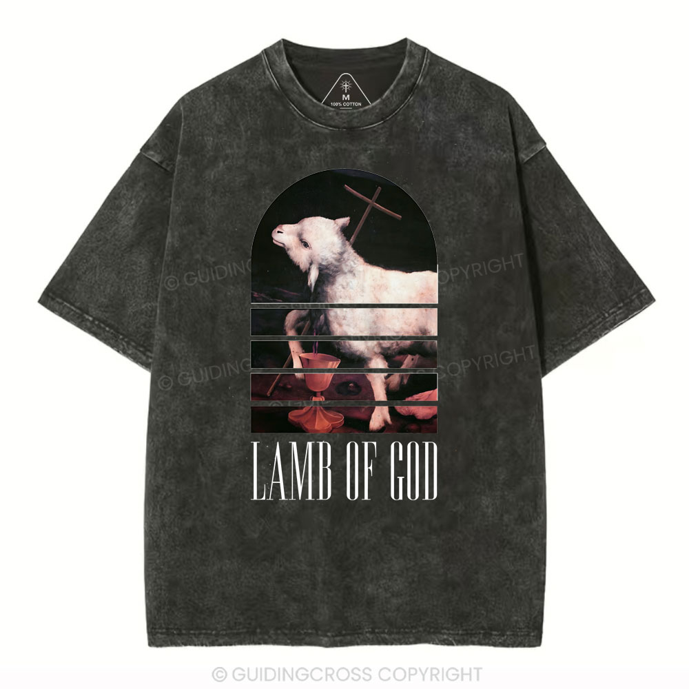 Lamb Of God Christian Washed T-Shirt