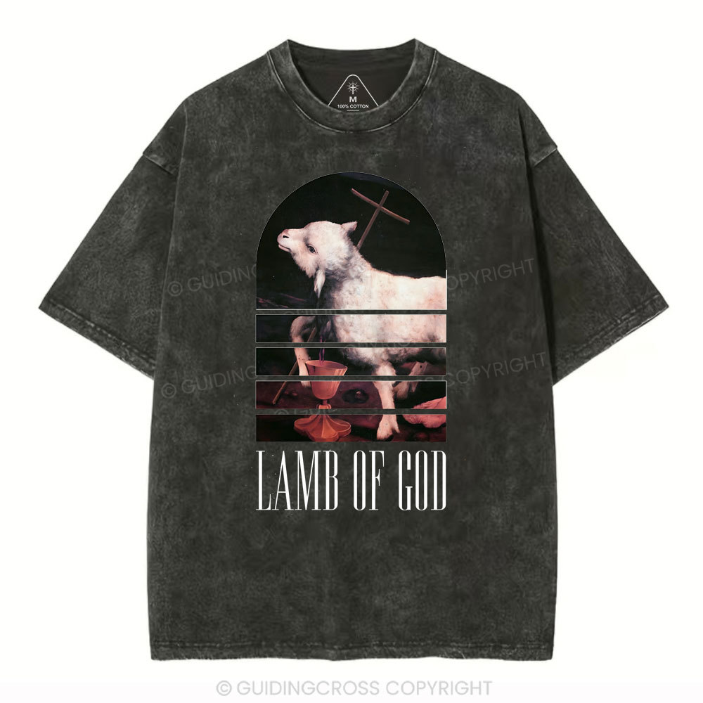 Lamb Of God Christian Washed T-Shirt