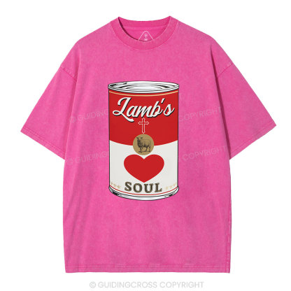 Lamb's Soul Christian Washed T-Shirt