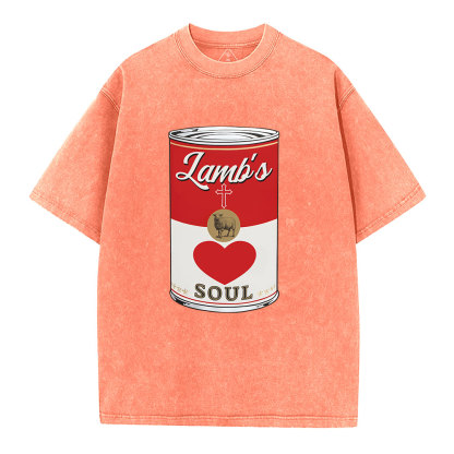 Lamb's Soul Christian Washed T-Shirt