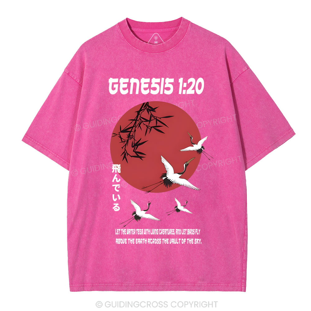 Let Birds Fly Christian Washed T-Shirt