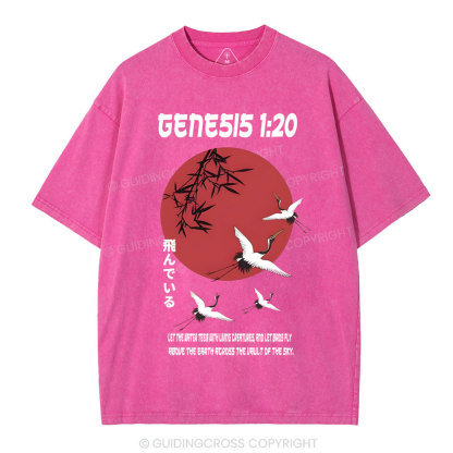 Let Birds Fly Christian Washed T-Shirt