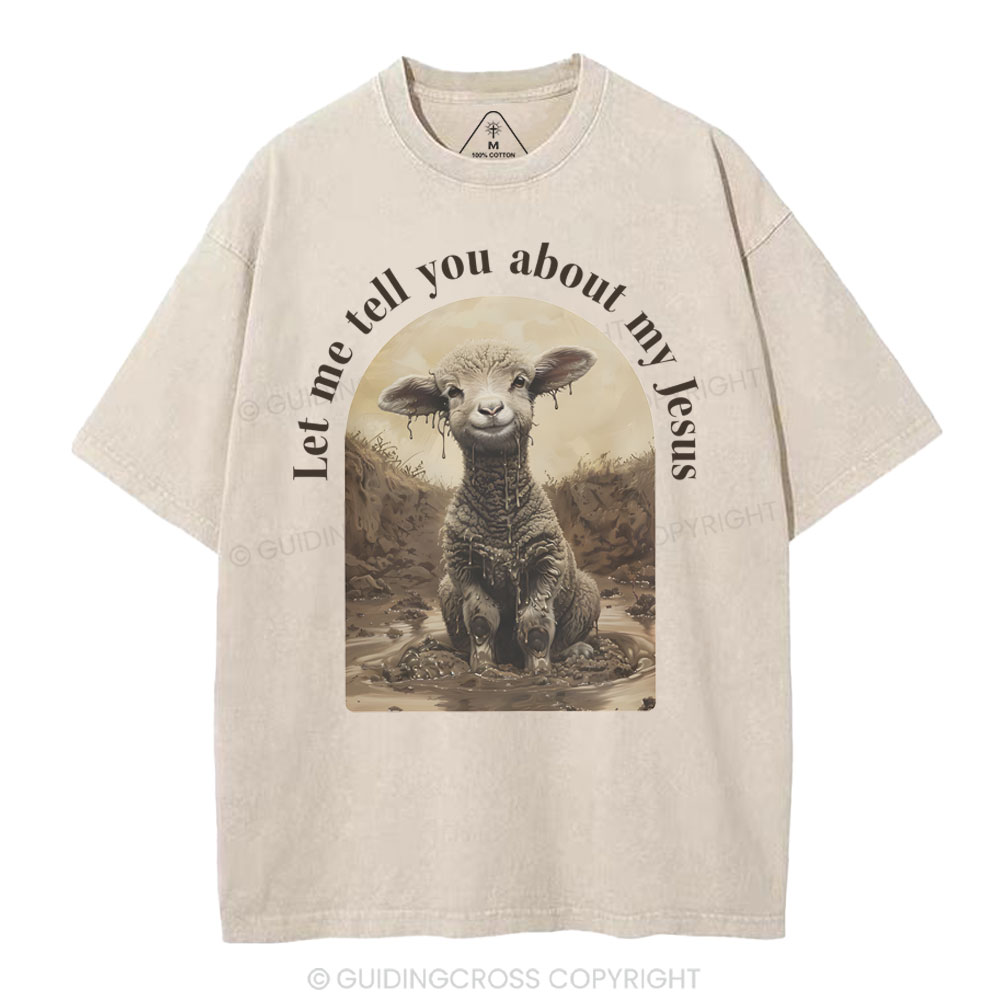 Let Me Tell You About Jesus Christian Washed T-Shirt