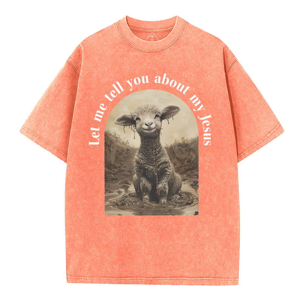 Let Me Tell You About Jesus Christian Washed T-Shirt