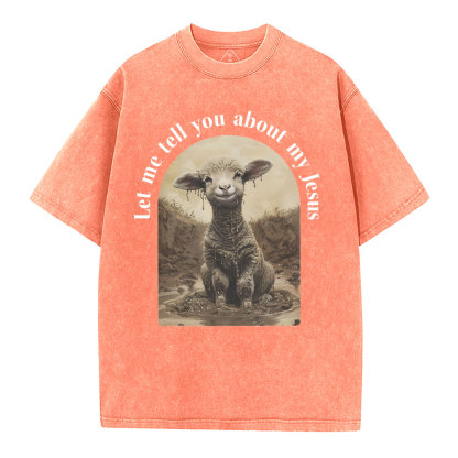 Let Me Tell You About Jesus Christian Washed T-Shirt
