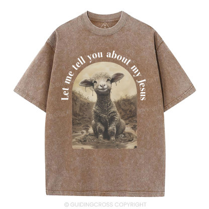 Let Me Tell You About Jesus Christian Washed T-Shirt