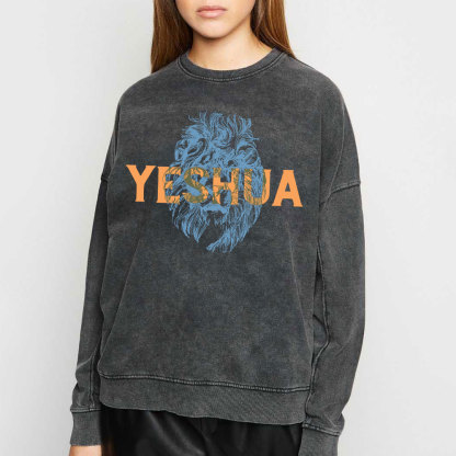 Lion And Yeshua Christian Washed Sweatshirt