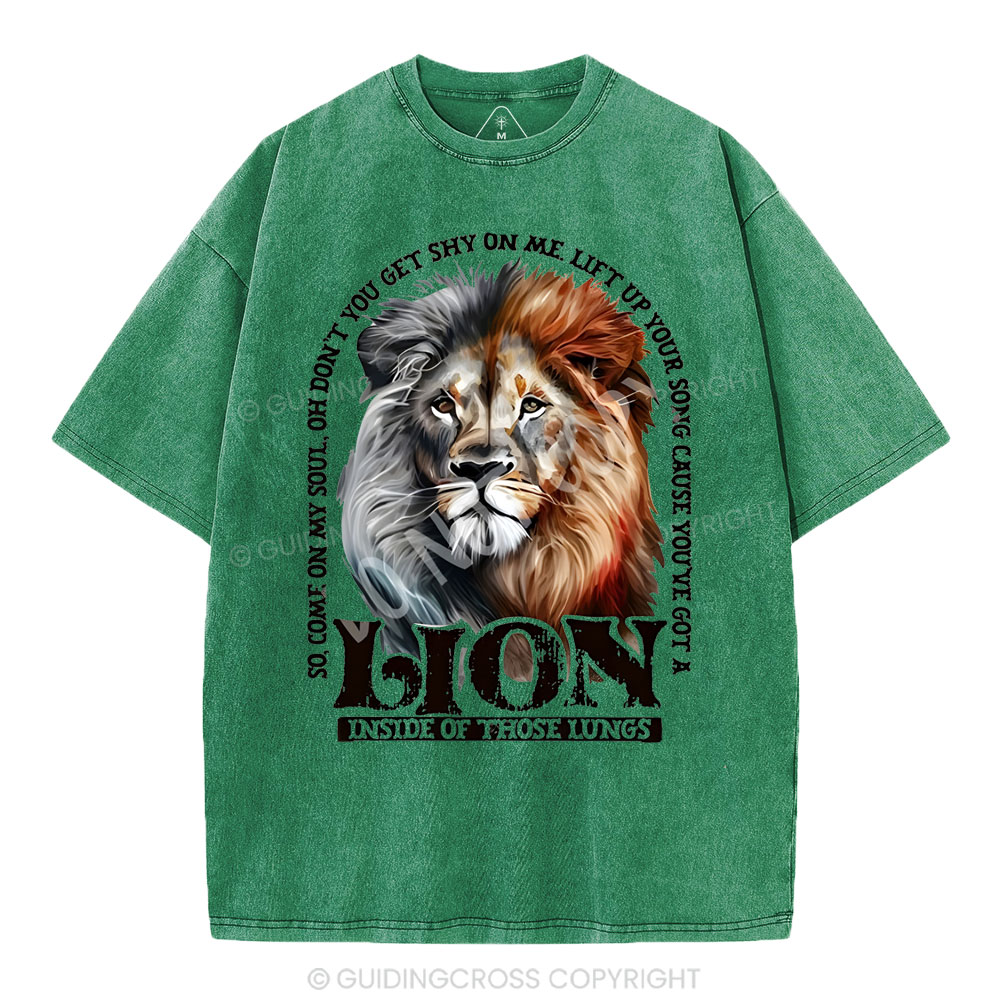 Lion Christian Washed T-Shirt