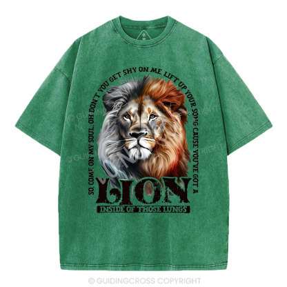 Lion Christian Washed T-Shirt