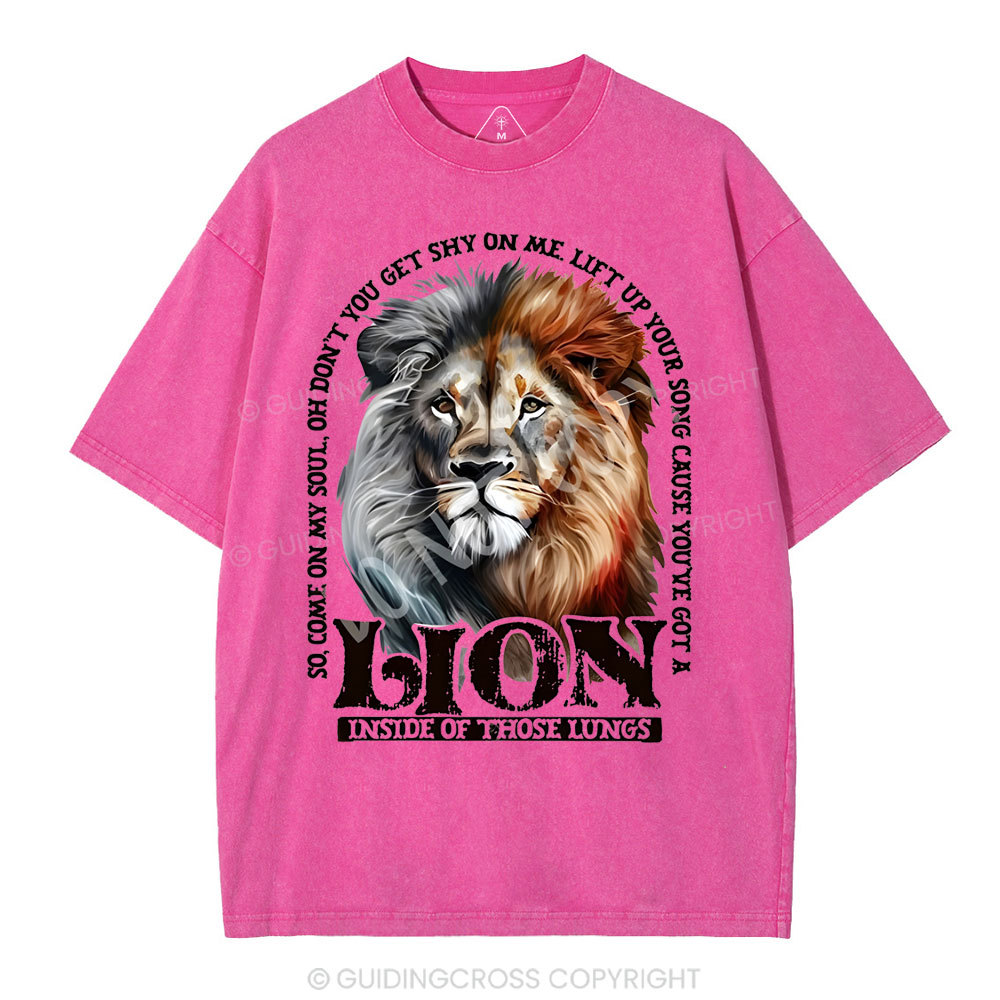 Lion Christian Washed T-Shirt