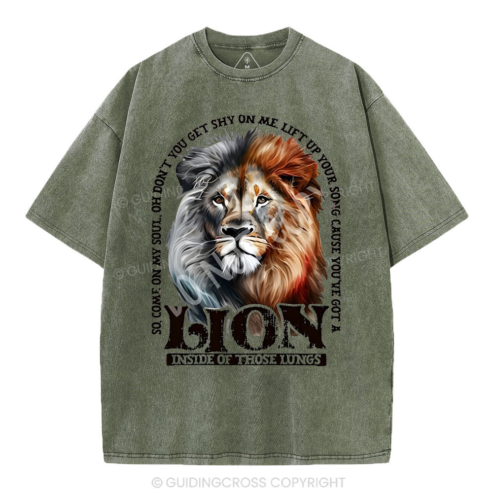 Lion Christian Washed T-Shirt
