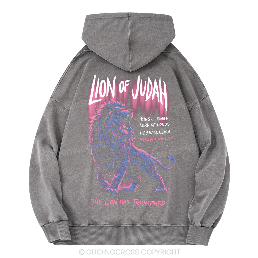 Lion Of Judah Christian Washed Hoodie 