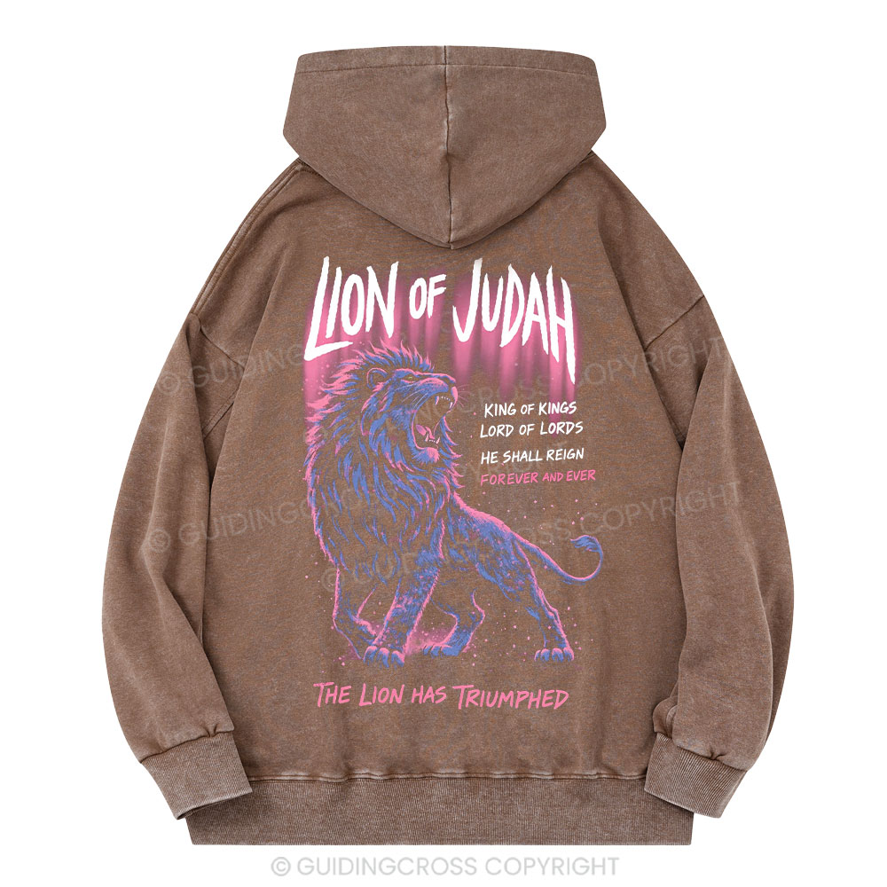 Lion Of Judah Christian Washed Hoodie 