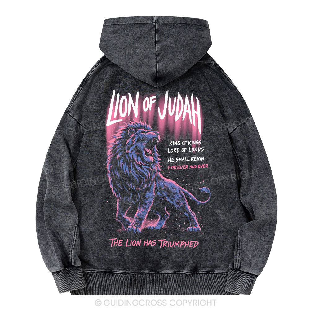 Lion Of Judah Christian Washed Hoodie 