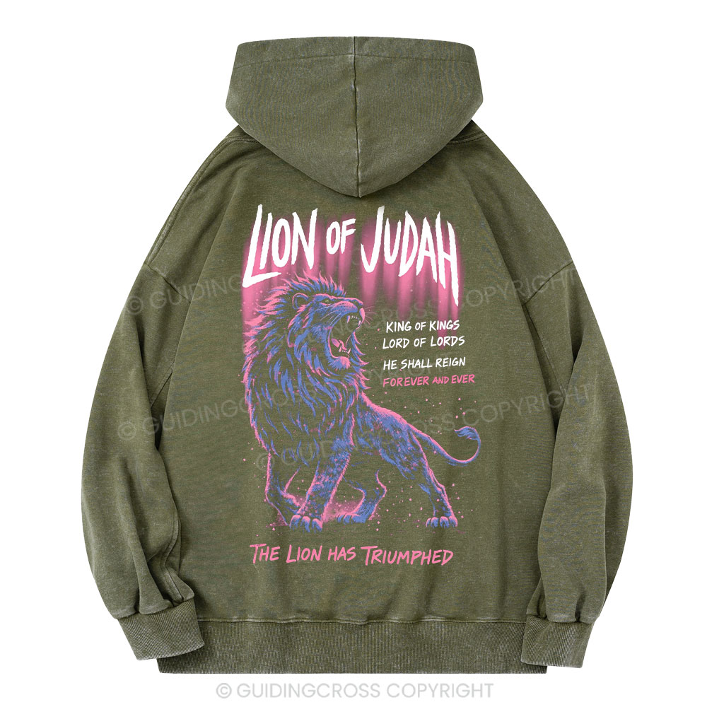 Lion Of Judah Christian Washed Hoodie 
