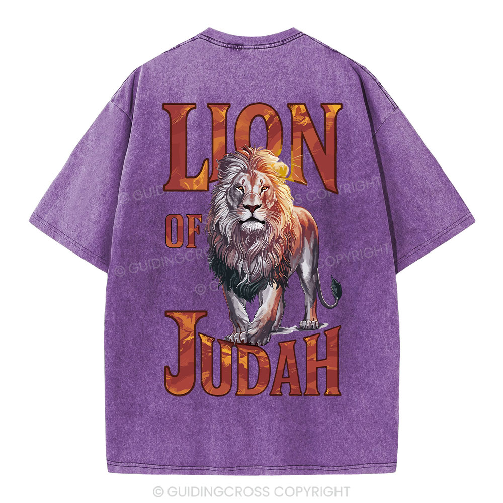 sample washed T-Shirt Sale - GuidingCross