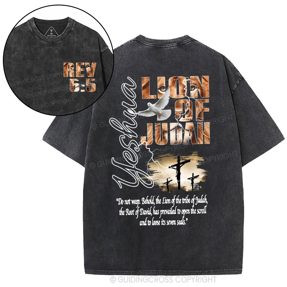 Lion Of Judah Christian Washed T-Shirt